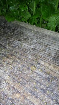 20170505_214905.jpg