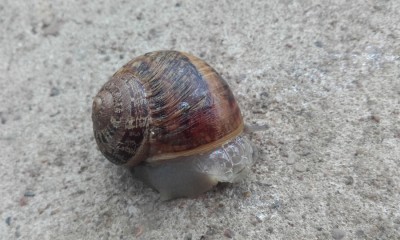20170814_133326.jpg